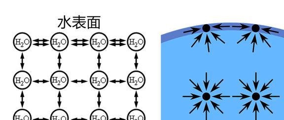 云顶国际集团新型家具水床的推出水床膜的具体研制情况(图9)